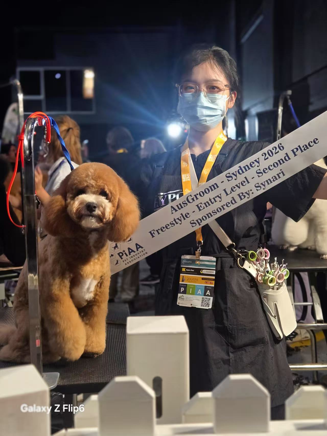 Louie at AusGroom Sydney 2026 Louie beside his groomer with the AusGroom Sydney 2026 Freestyle Entry Level second-place sash